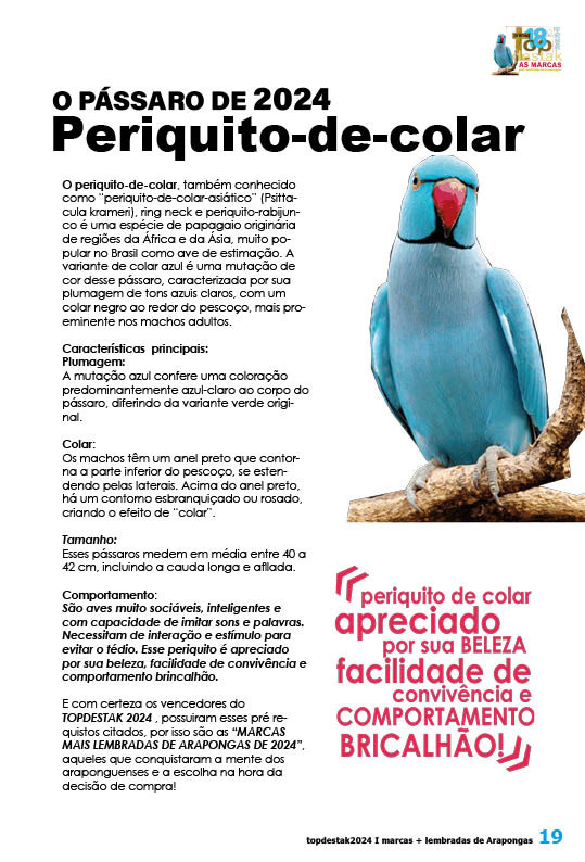 Página 19 - titulo