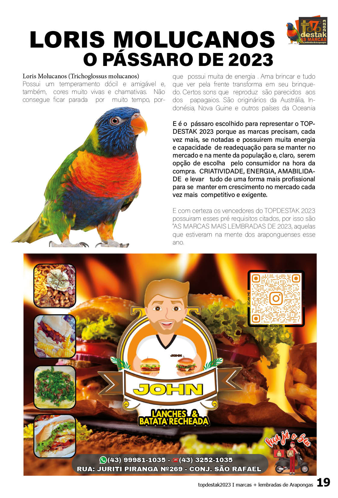 Página 19 - titulo